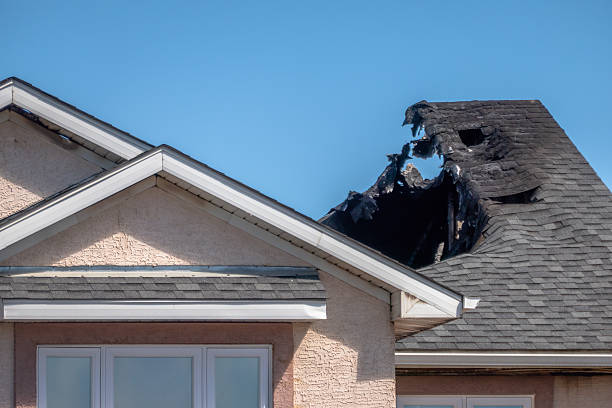 Top rated local Odor Removal specialists in Hunt Valley, MD